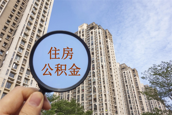 沛县离职多久可以取住房公积金(离职多久后能取公积金) 沛县离职多久可以取住房公积金(离职多久后能取公积金)